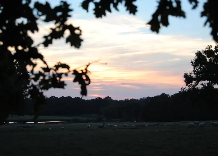 Le Diamant Chambrés Mini-hôtel